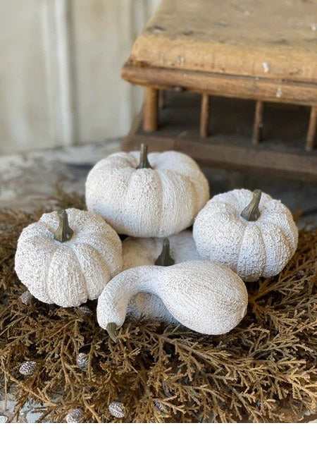 Boxed Set of 5 Full Moon Pumpkin & Gourds