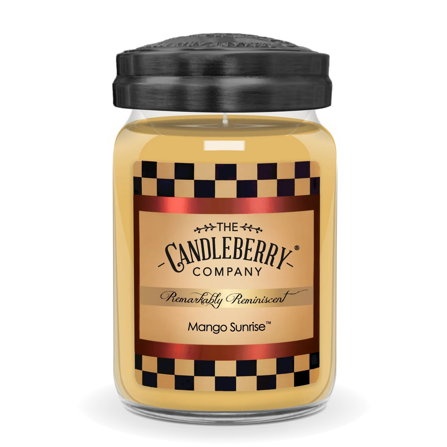 The Candleberry Company- Remarkably Reminiscent Collection LARGE Candles