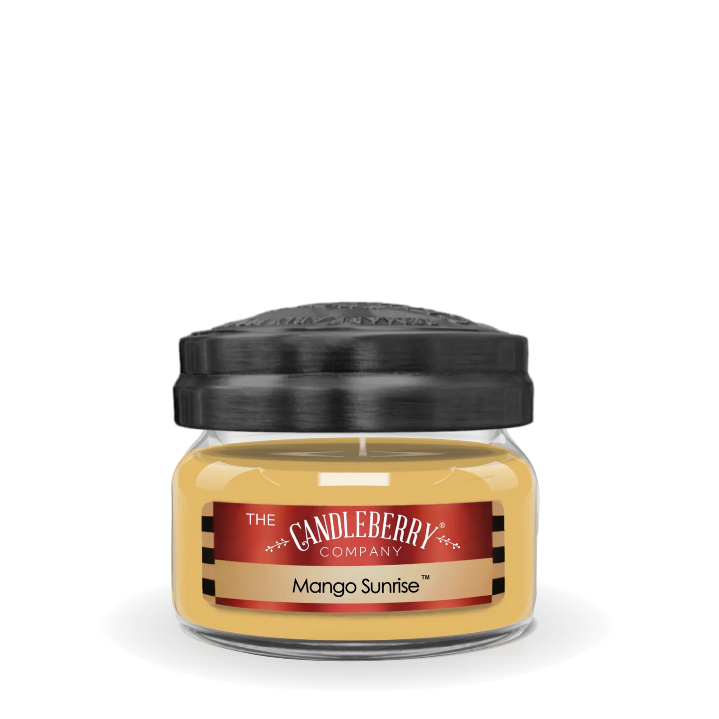 The Candleberry Company- Remarkably Reminiscent Collection SMALL Candles