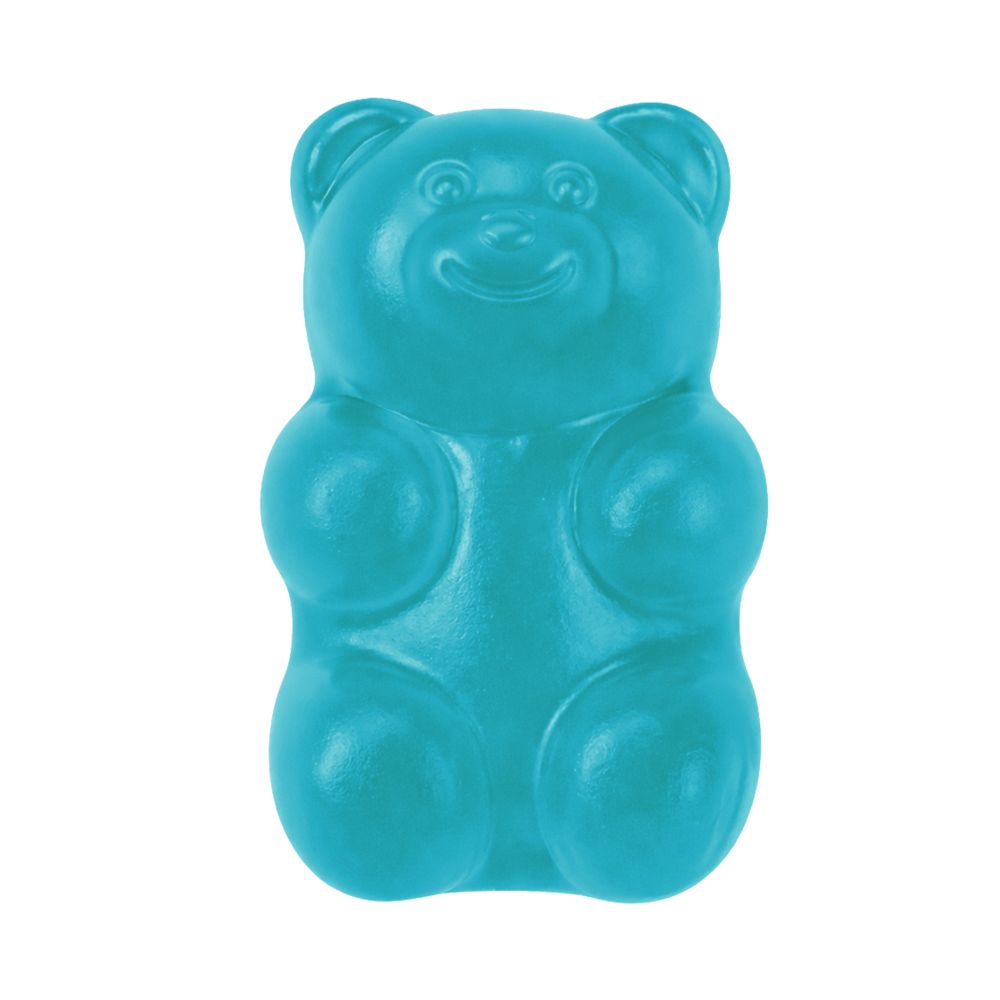 Squishy Jelly Bear Sensory Toy