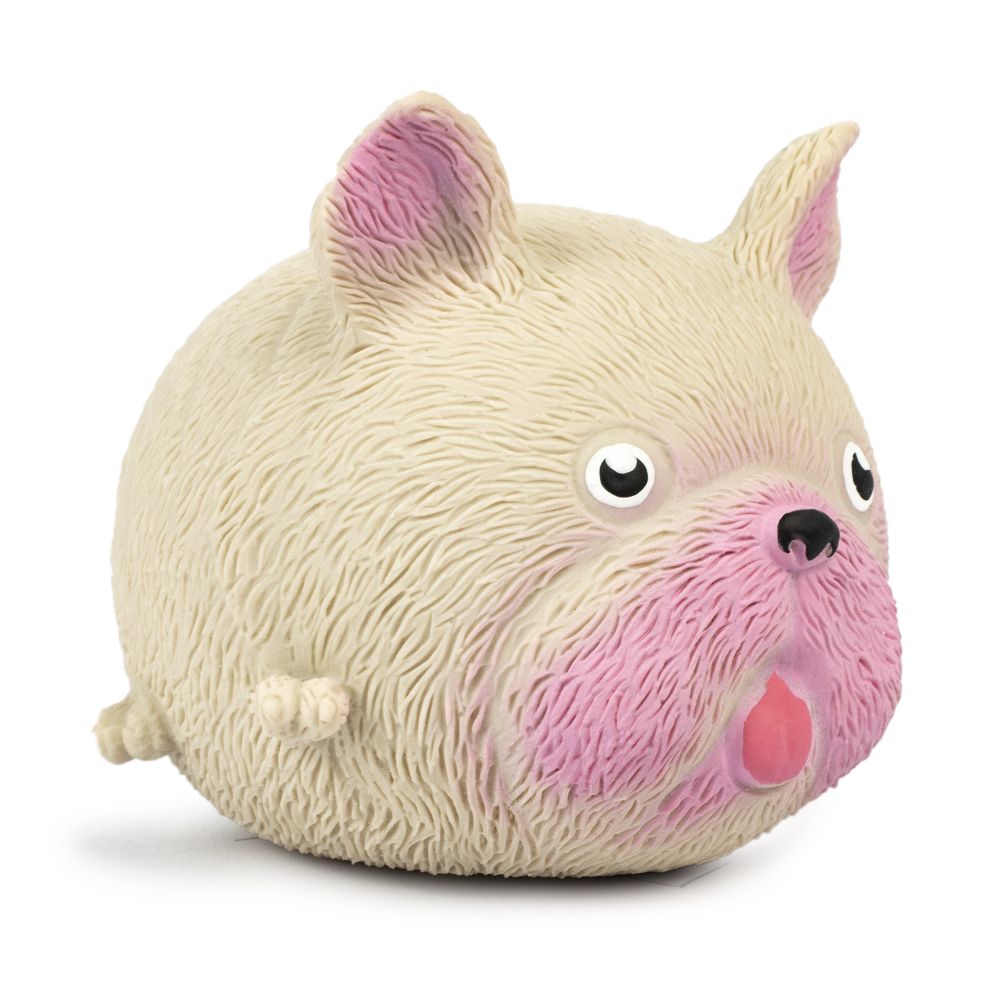 Squidgy Pooch