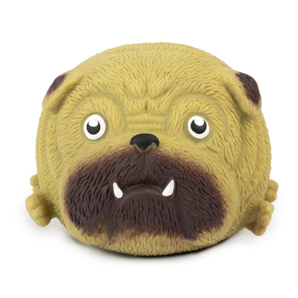 Squidgy Pooch