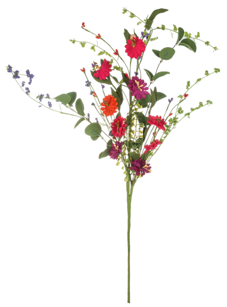 Colorful Daisy Spray