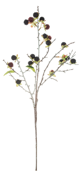 Berry Floral Sprays