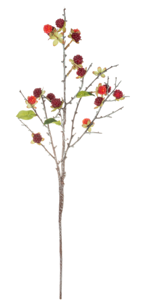 Berry Floral Sprays