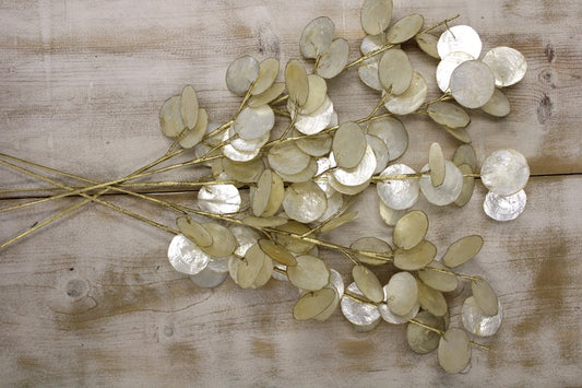 33" Capiz Shell Stem