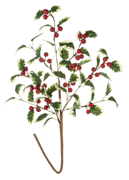 Holly With Berries Pick