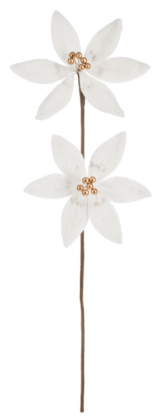 Double Poinsettia Spray