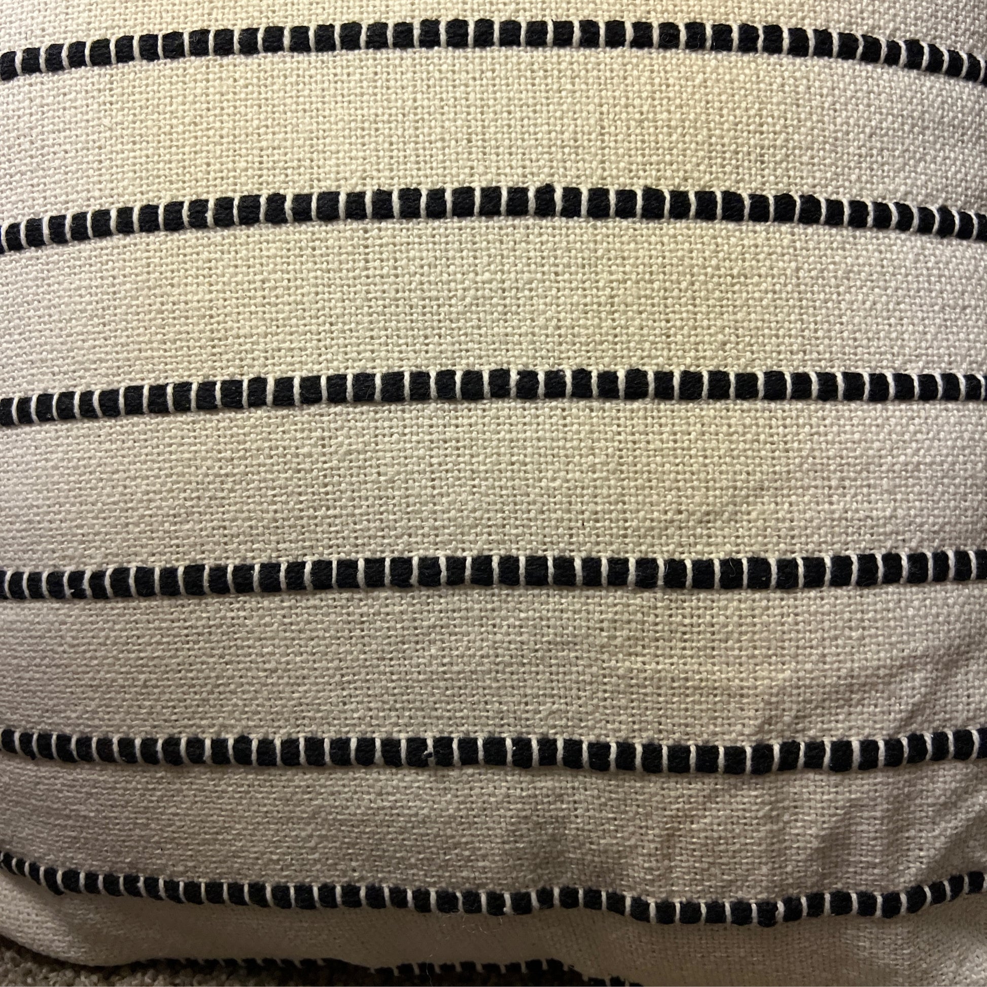 Black & White Fringed Pillow