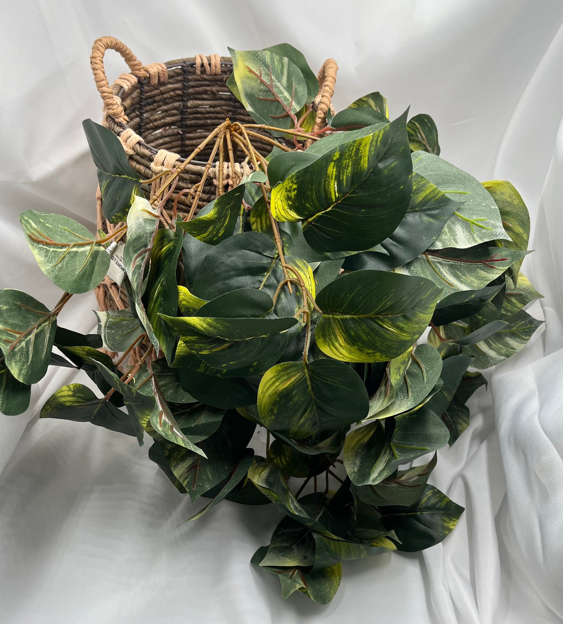 pothos bush 27" Pothos Hanging Basket Bush – Rachelle Danielle Rose Gifts & Decor