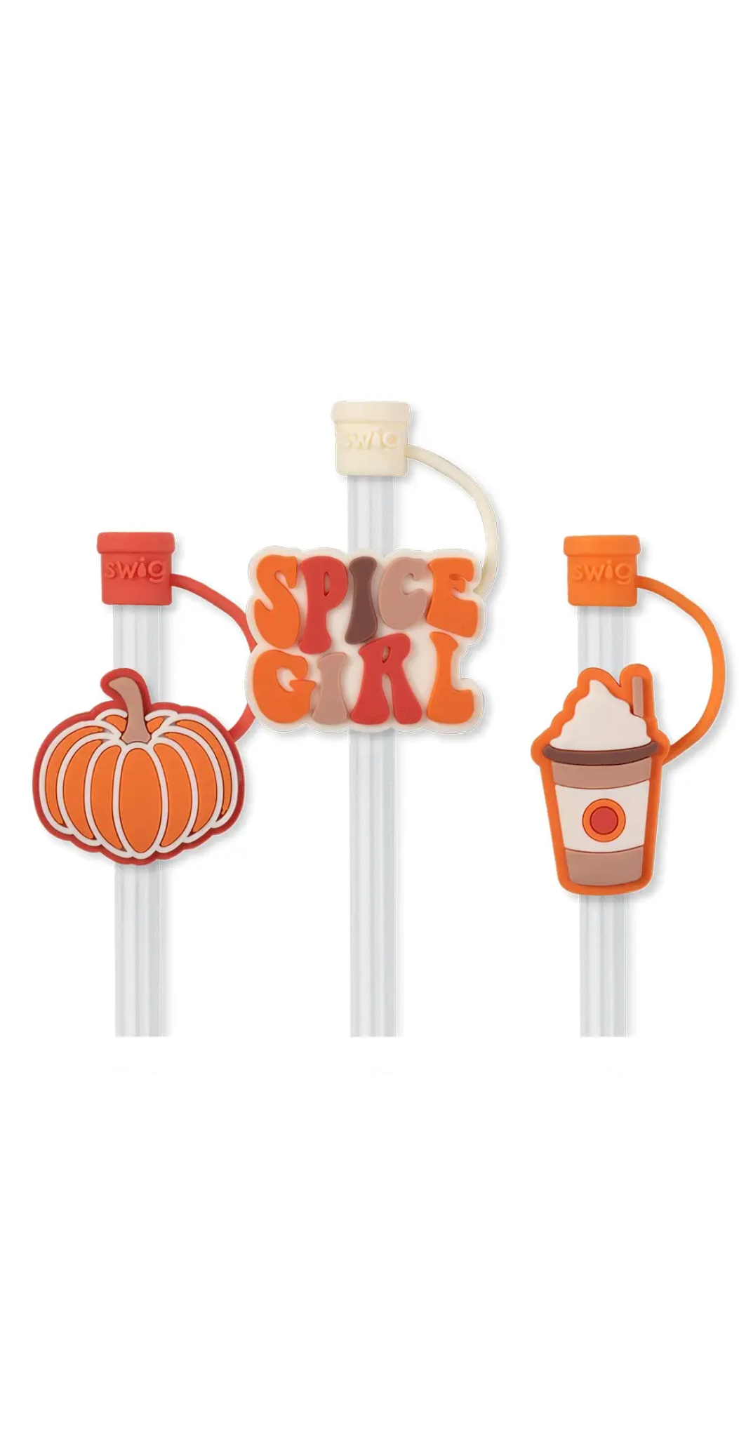 Swig Straw Topper Set