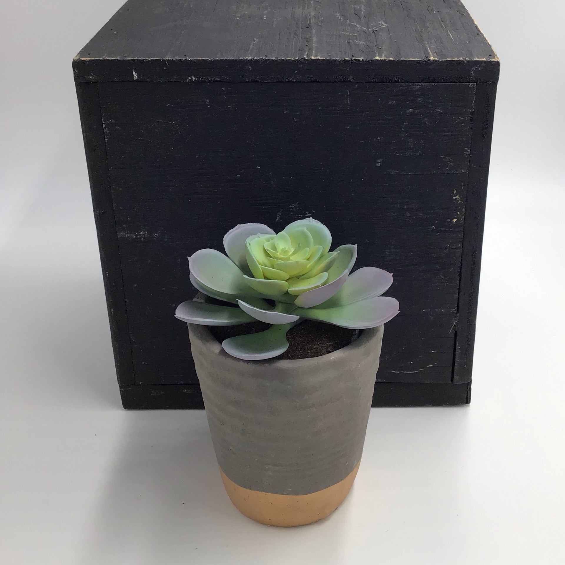 Potted Plastic Succulents