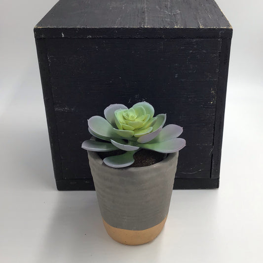 Potted Plastic Succulents