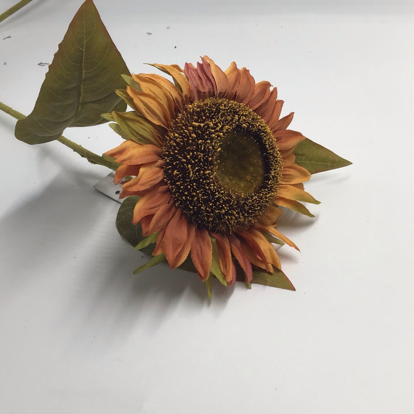 Mid Summer Orange Sunflower Stem