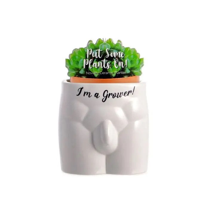 Put Some Plants On Novelty Ceramic Planter