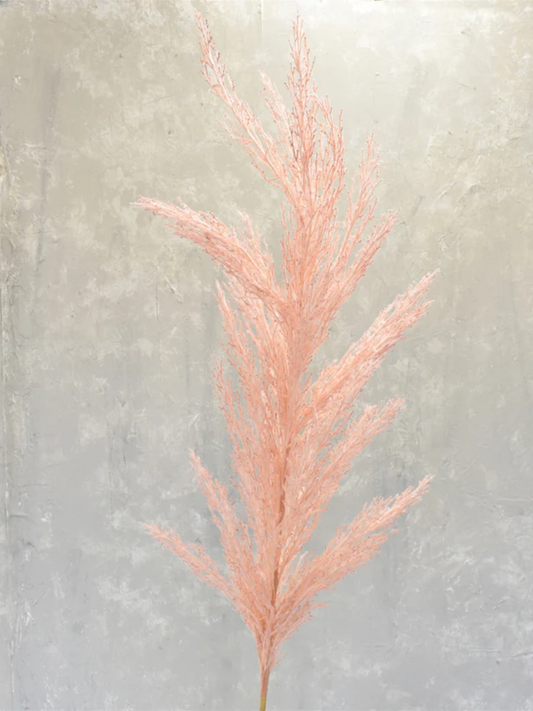 Grande Pampas Grass Stem 53’’ in Pink