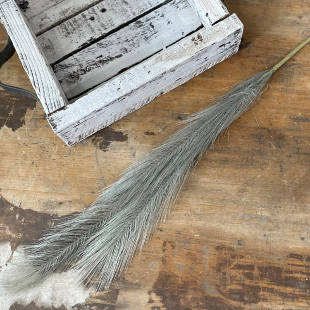 31.5 in Pampas Grass