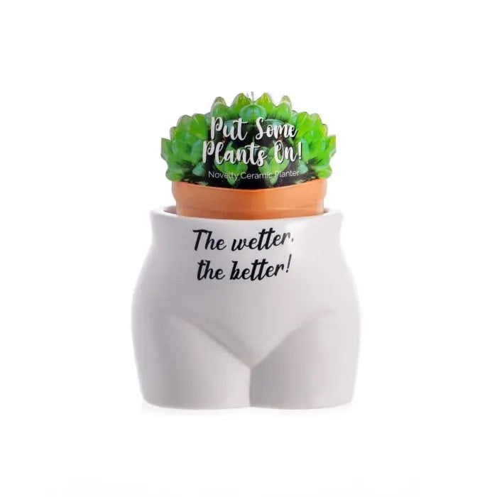 Put Some Plants On Novelty Ceramic Planter