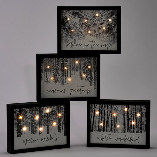 Framed Black & White LED Wall Art