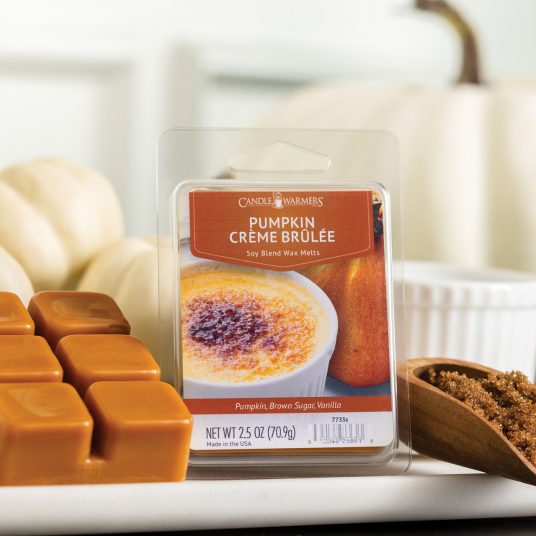 Pumpkin Scents 2.5oz Wax Melts