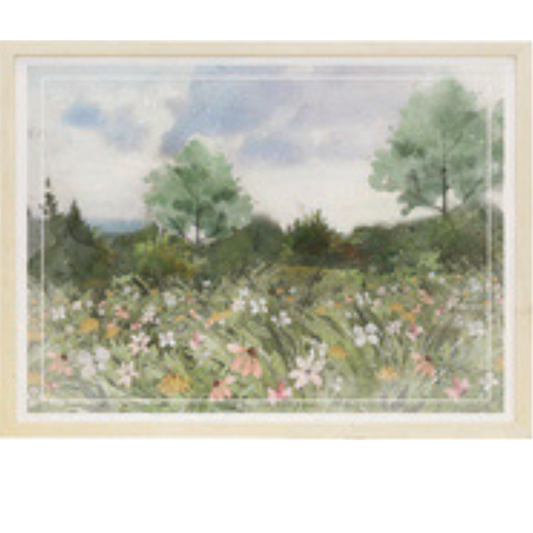 Wildflower Field Picture