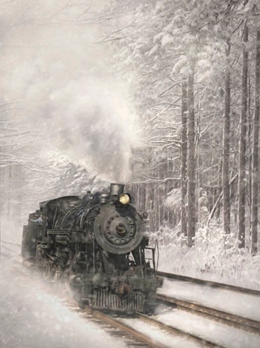 Snowy Locomotive Picture In White Frame