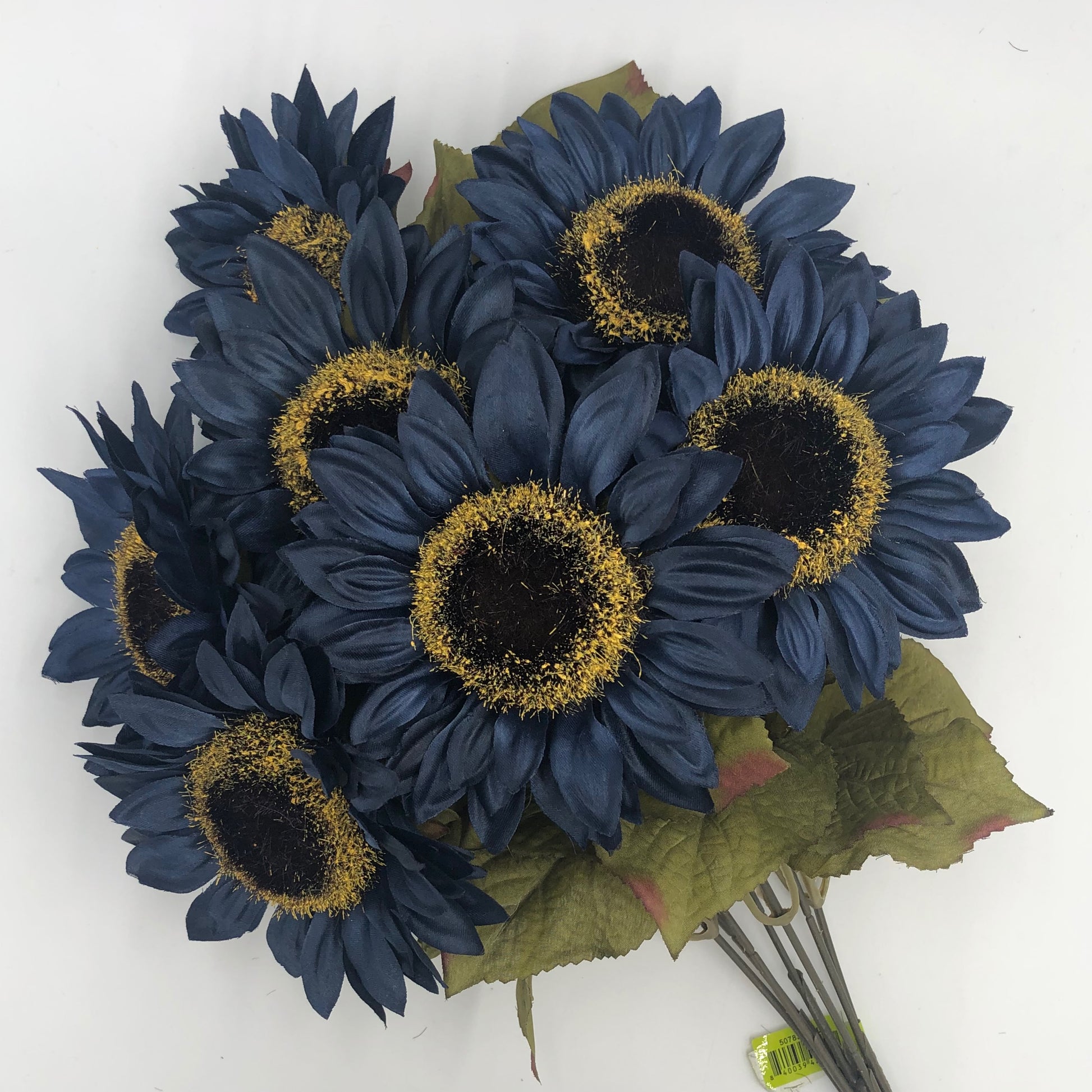 Navy Sunflower Bush