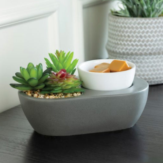 Succulent Artscents Wax Warmer