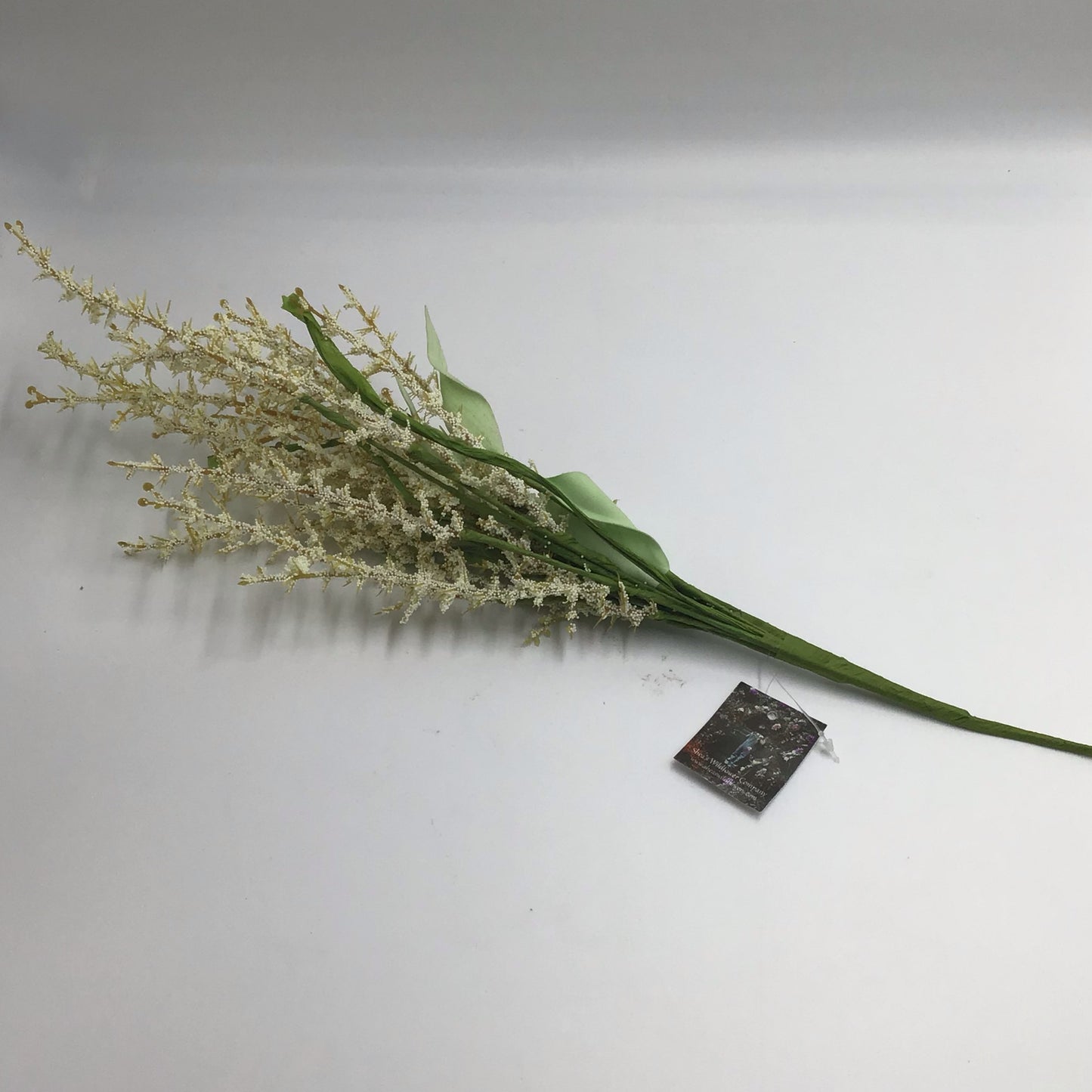 Cream & White Astilbe Bush