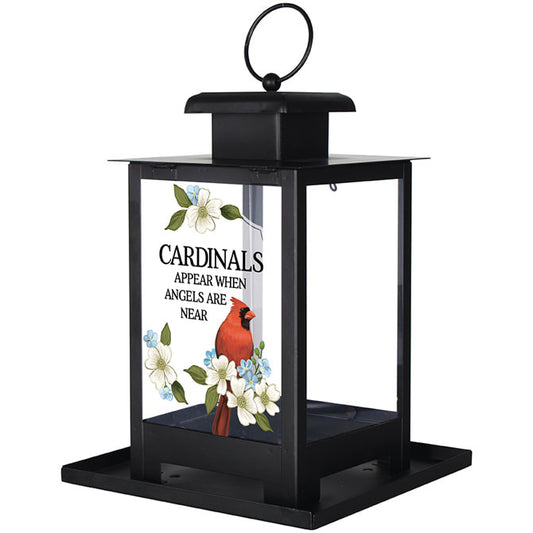 Cardinals Appear Black Bird Feeder