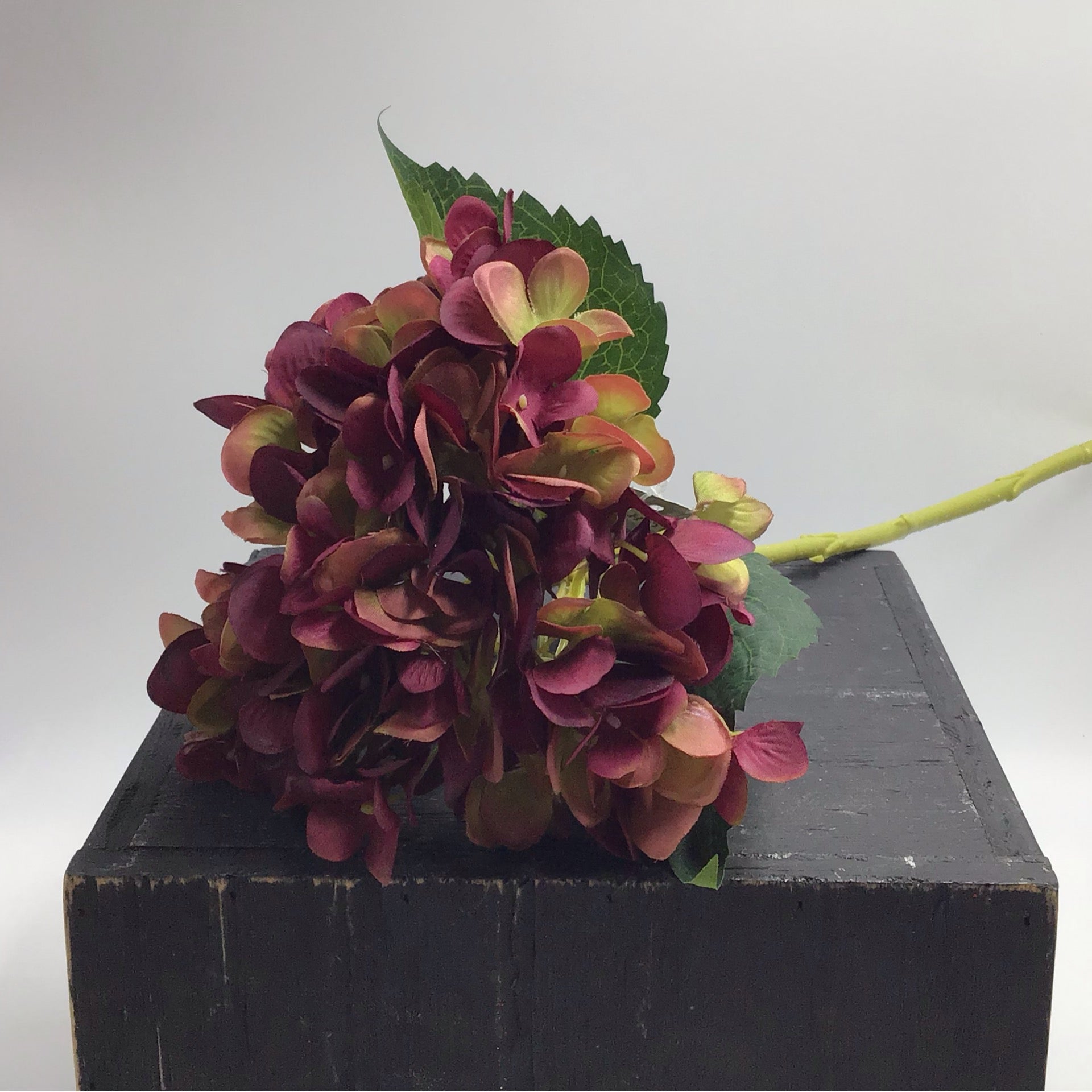 Wine Red Hydrangea Stem