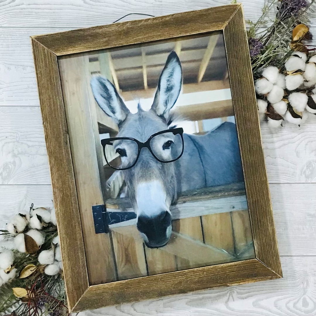 Smart Donkey With Glasses