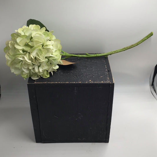 Light Green Hydrangea Stem