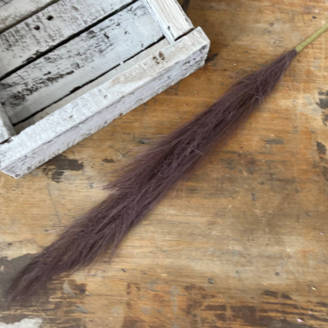 31.5 in Pampas Grass