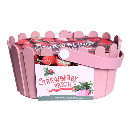 Buzzy Seeds Strawberry Patch Grow Kit