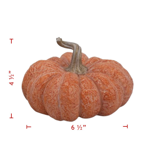 5" Flat Pumpkins